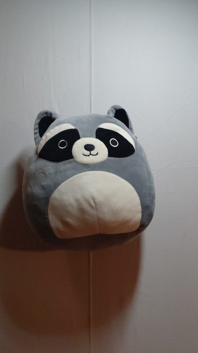Squishmallows "Rocky" Raccoon 8 Inch Gray Plush Kellytoy